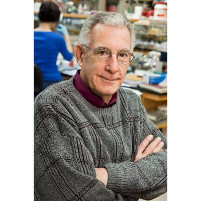 Prof. Dr. Thomas Seyfried