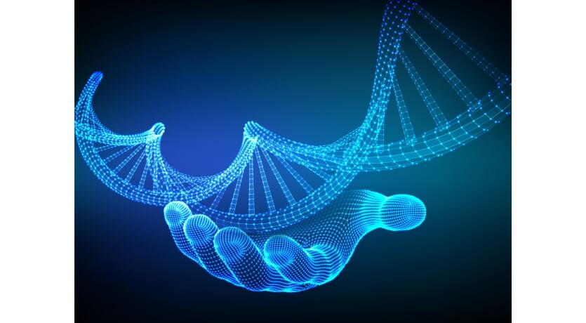 Uzun Ömrün Genetik Kodları Bulundu 